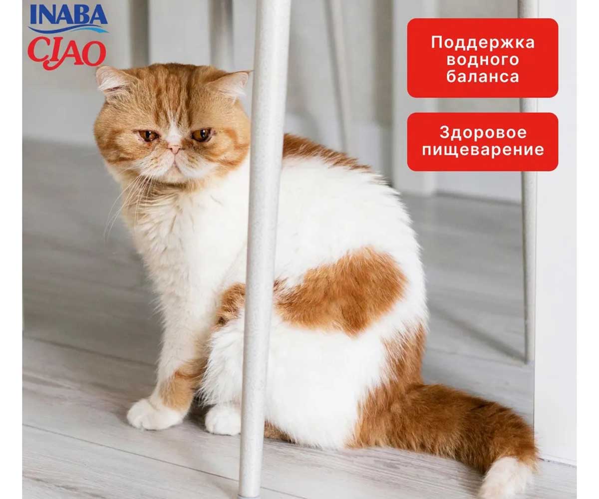 Влажный Корм Inaba (Инаба) Kinnodashi Для Кошек Тунец Магуро, Кацуо и Гребешок в Желе 60г (1*12)