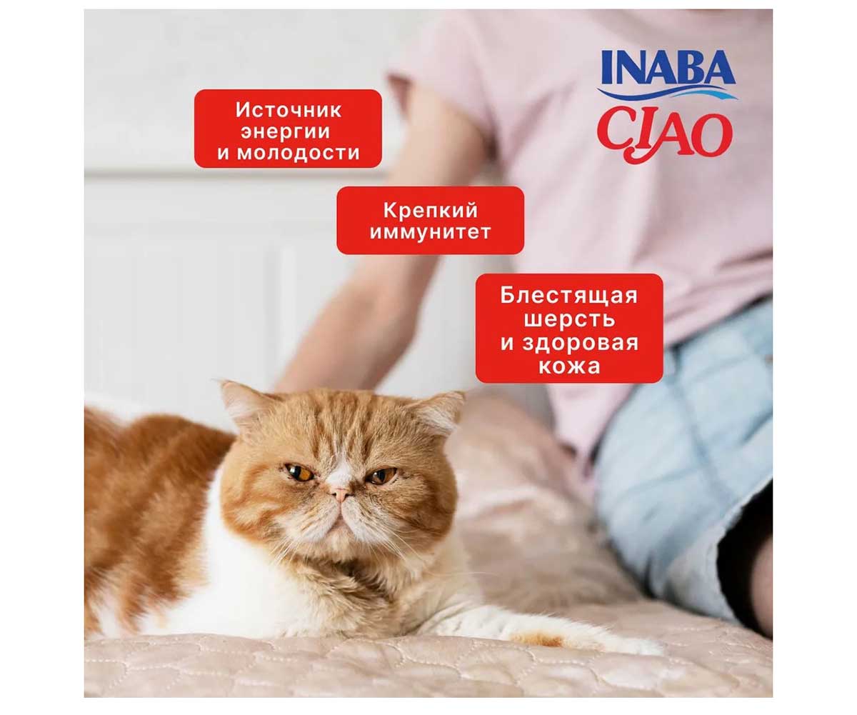 Влажный Корм Inaba (Инаба) Kinnodashi Для Кошек Тунец Магуро, Кацуо и Семга в Желе 60г (1*12)