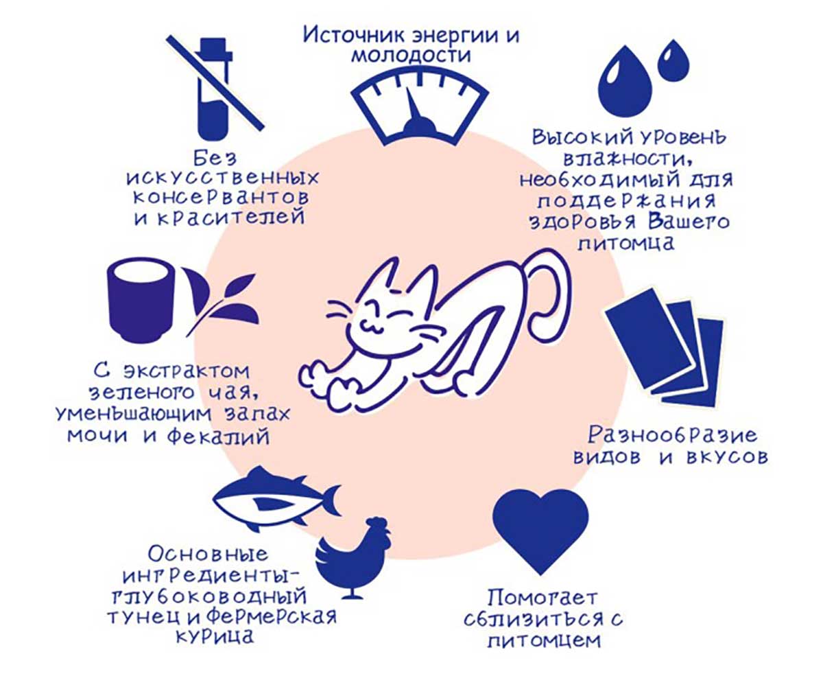 Влажный Корм Inaba (Инаба) Kinnodashi Для Кошек Тунец Магуро и Кацуо в Желе 60г