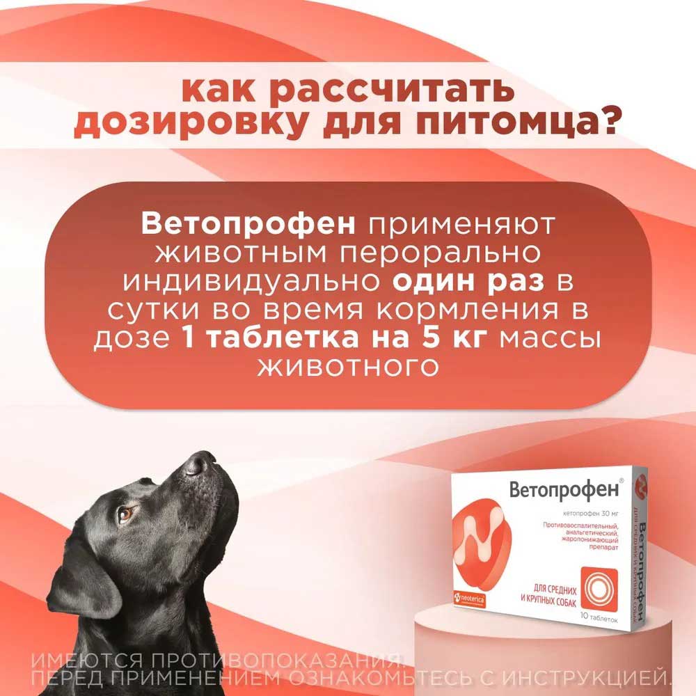 Ветопрофен Противовоспалительный, Анальгетический, Жаропонижающий Препарат Для Средних и Крупных Собак 10т V602