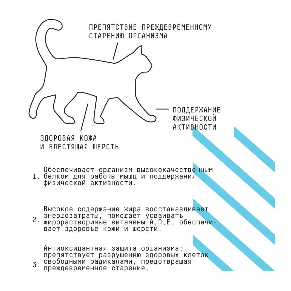 Сухой Корм Ajo (Аджо) Cat Active Для Кошек Индейка 400г (1*24)