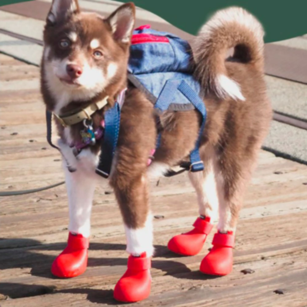 Сапоги Для Собак Средних и Крупных Пород Pet Fashion (Пет Фешн) Резиновые XL Красный 7,5*8,5см