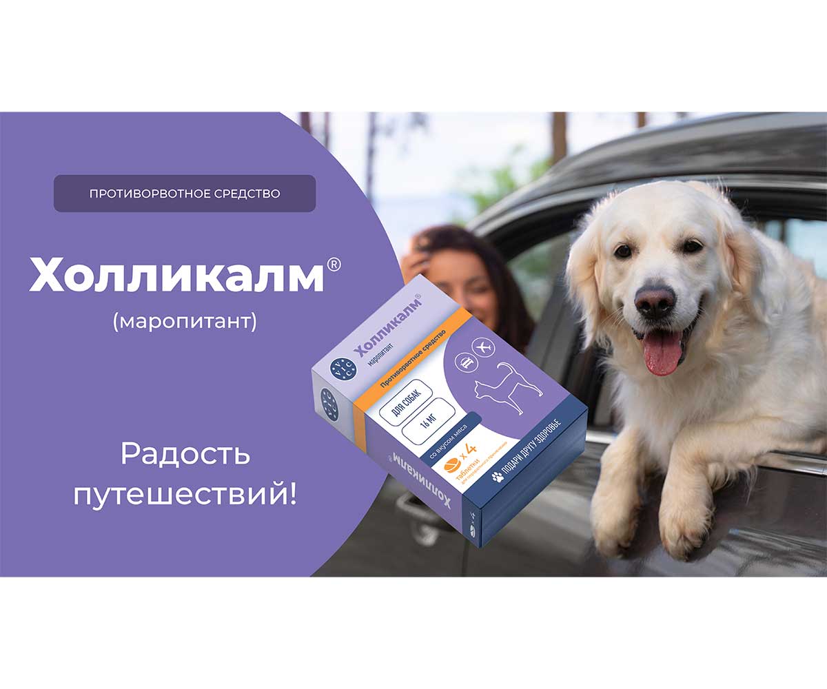 Холликалм 24мг Противорвотное Средство Для Собак Со Вкусом Мяса  4-Таблеки Коробка