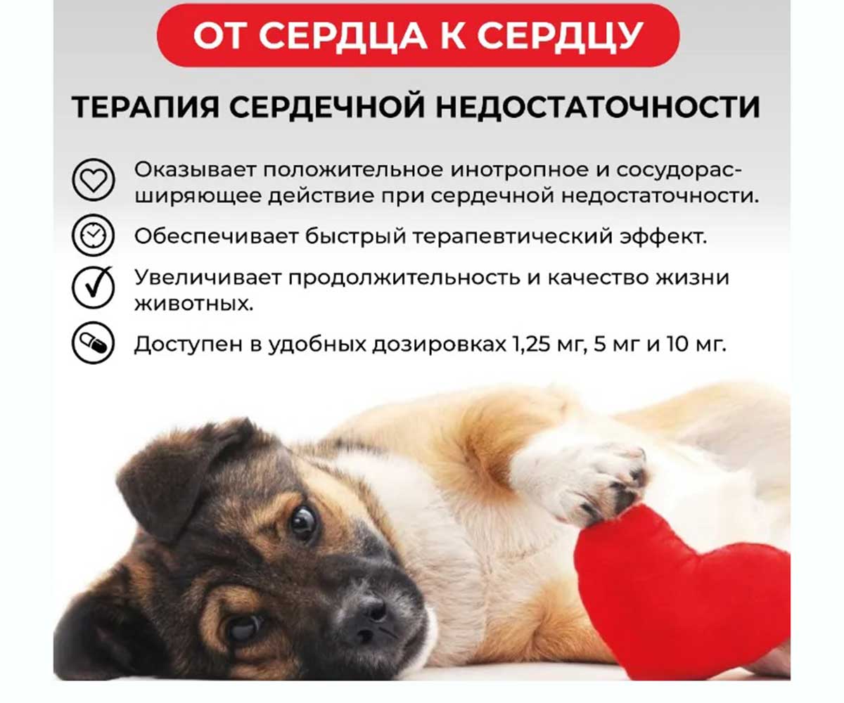 Авекардит Препарат Для Лечения Сердечной Недостаточности 5мг Для Средних Собак 28-Таблеток Коробка