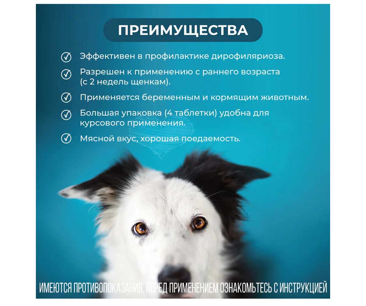 Пинпрамиль 12,5мг/125мг Антигельминтный Препарат Для Крупных Собак 4-Таблетки Коробка