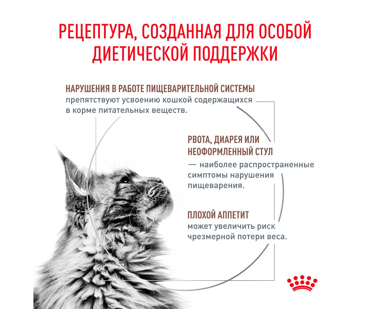 Сухой Корм Royal Canin (Ройял Канин) Gastrointestinal Для Кошек При Острых Расстройствах Пищеварения, в Реабилитационный Период и При Истощении 350г