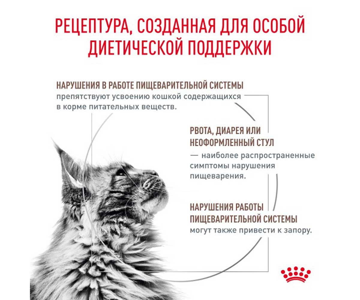 Сухой Корм Royal Canin (Ройял Канин) Gastrointestinal Fibre Response с Повышенным Содержанием Клетчатки Кошек При Запорах 350г
