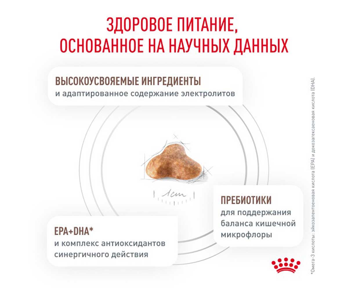 Сухой Корм Royal Canin (Ройял Канин) Gastrointestinal Fibre Response с Повышенным Содержанием Клетчатки Кошек При Запорах 350г