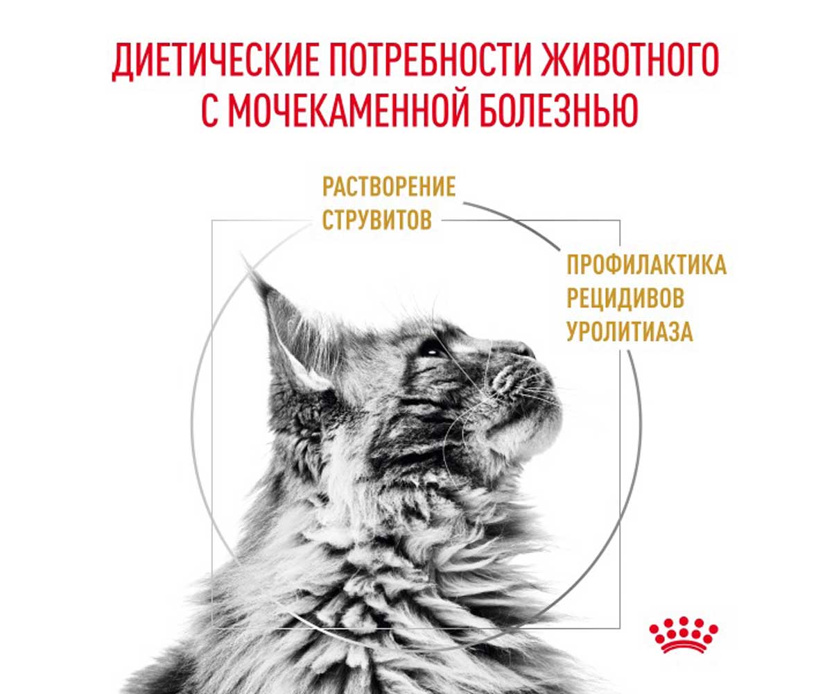 Лечебный Сухой Корм Royal Canin (Ройял Канин) Urinary S/O Для Кошек, Способствующий Растворению Струвитных Мочевых Камней и Снижению Риска Их Повторного Образования LP34 350г