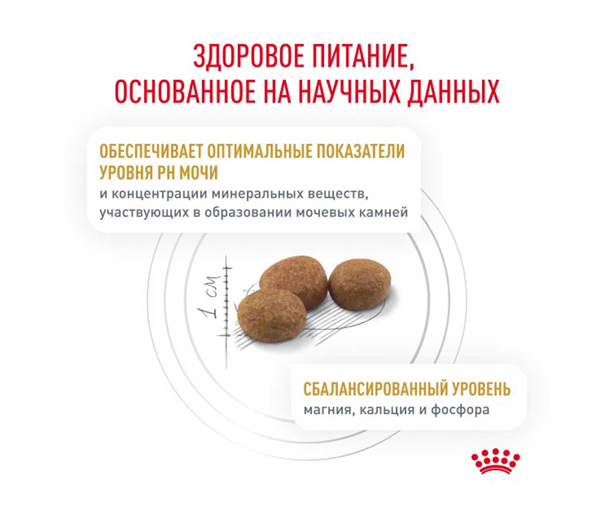 Лечебный Сухой Корм Royal Canin (Ройял Канин) Urinary S/O Для Кошек, Способствующий Растворению Струвитных Мочевых Камней и Снижению Риска Их Повторного Образования LP34 350г