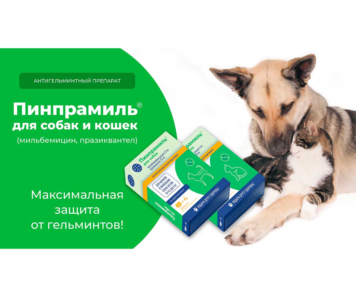 Пинпрамиль Таблетки 16мг/40мг Антигельминтик Для Кошек 4-Таблетки Коробка