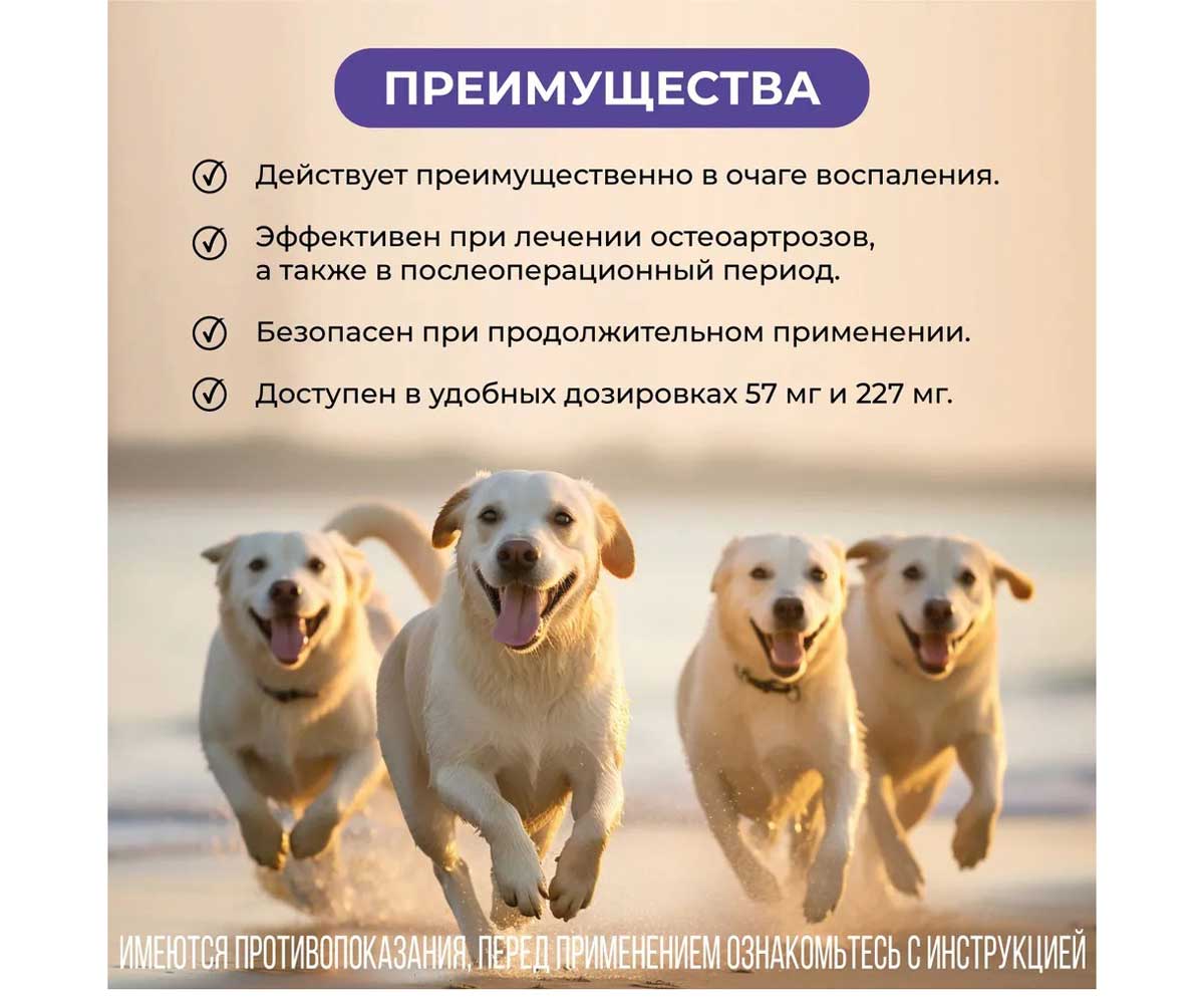 Фироко 227мг Нестероидный Противовоспалительный Болеутоляющий Препарат Для Крупных Собак 8-Таблеток Коробка