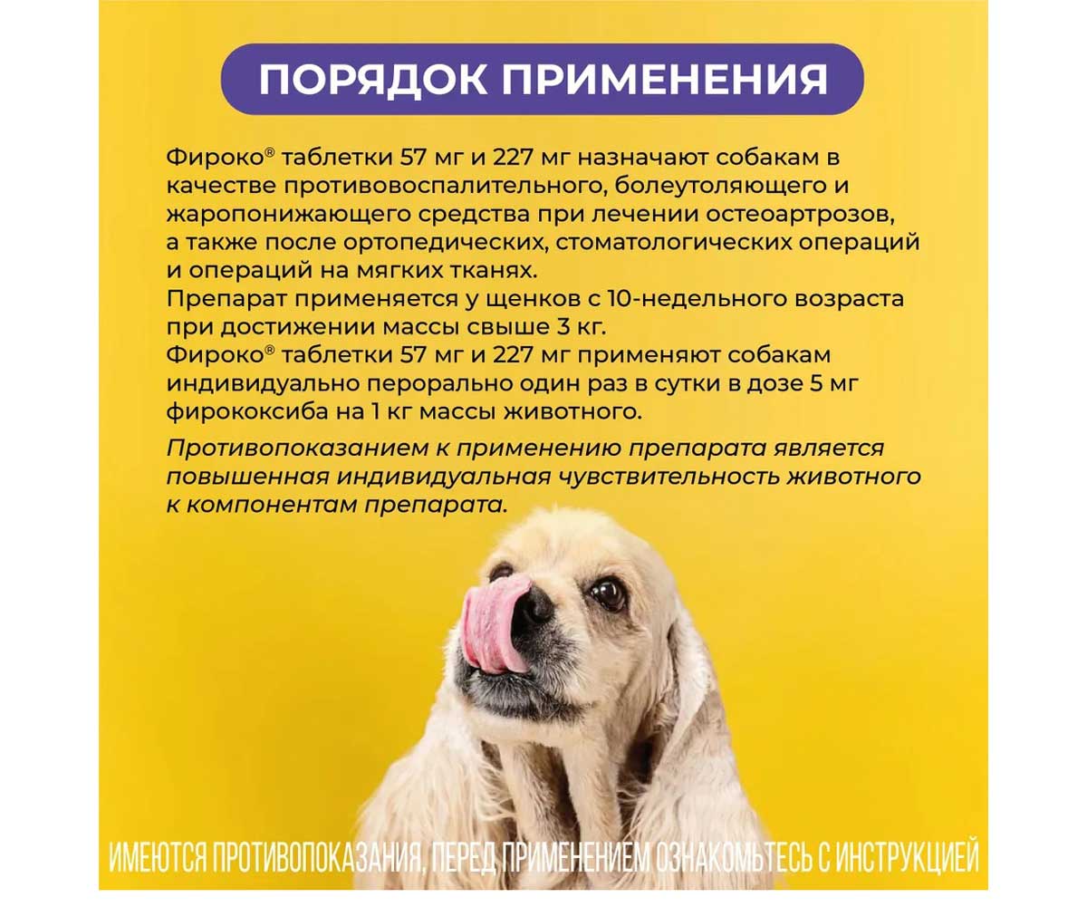 Фироко 227мг Нестероидный Противовоспалительный Болеутоляющий Препарат Для Крупных Собак 8-Таблеток Коробка