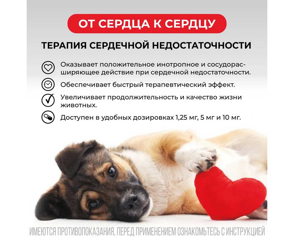 Авекардит 10мг Для Лечения Сердечной Недостаточности Для Крупных Собак 28-Таблеток Коробка