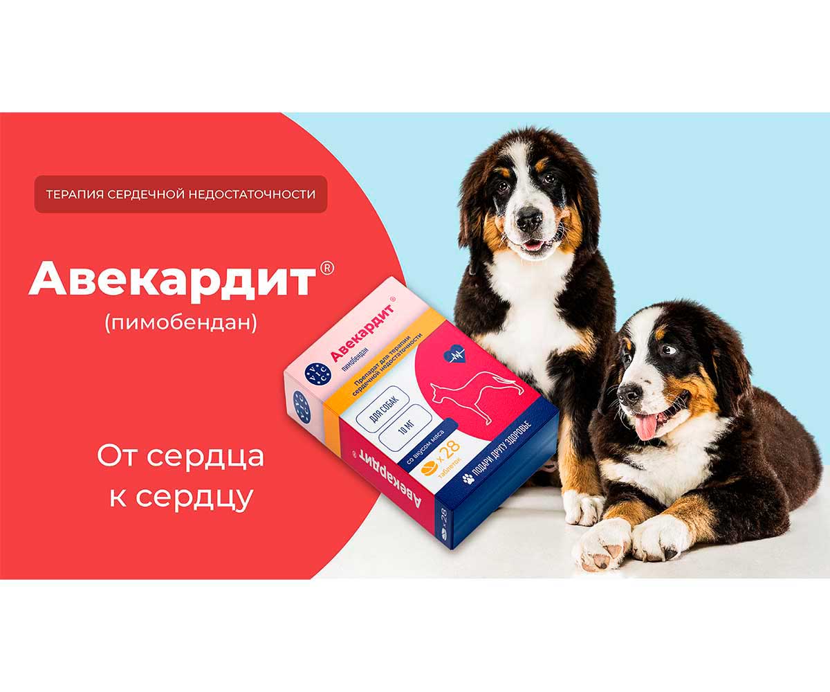 Авекардит 10мг Для Лечения Сердечной Недостаточности Для Крупных Собак 28-Таблеток Коробка