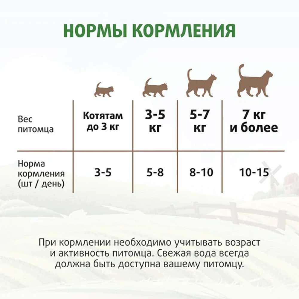 Лакомство Ферма Кота Фёдора Для Кошек и Котят Хрустящие Подушечки с Паштетом Из Говядины 40г