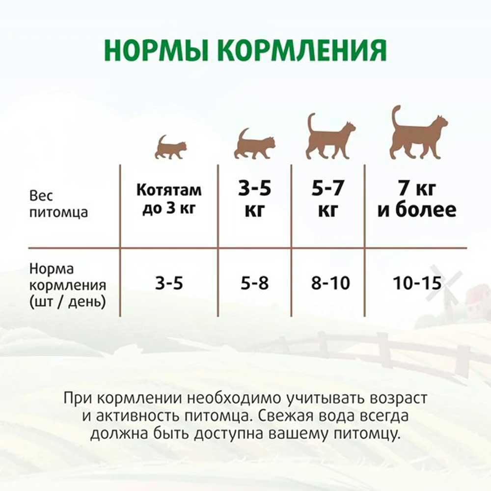 Лакомство Ферма Кота Фёдора Для Кошек и Котят Хрустящие Подушечки с Паштетом Из Курицы 40г