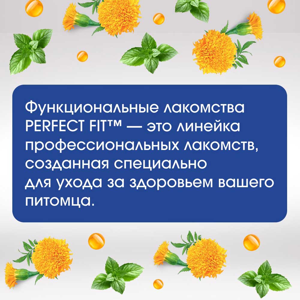 Лакомство Perfect Fit (Перфект Фит) Для Собак Говядина Здоровье Полости Рта 130г (1*8)