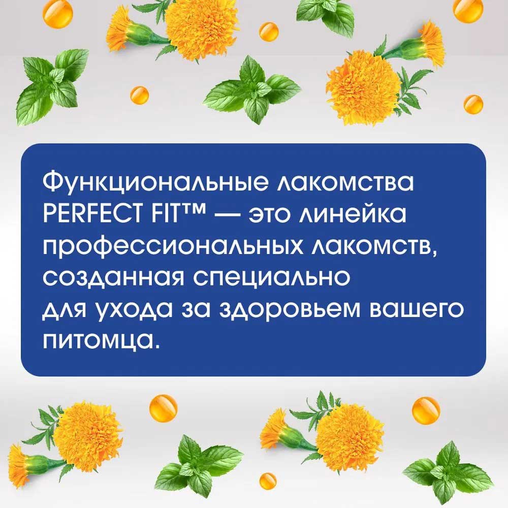 Лакомство Perfect Fit (Перфект Фит) Для Собак 90г Говядина Здоровье Полости Рта (1*12)