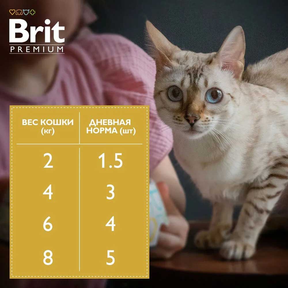 Влажный Корм Brit (Брит) Premium Для Кошек Лосось и Форель в Соусе 85г (1*14) 5048854
