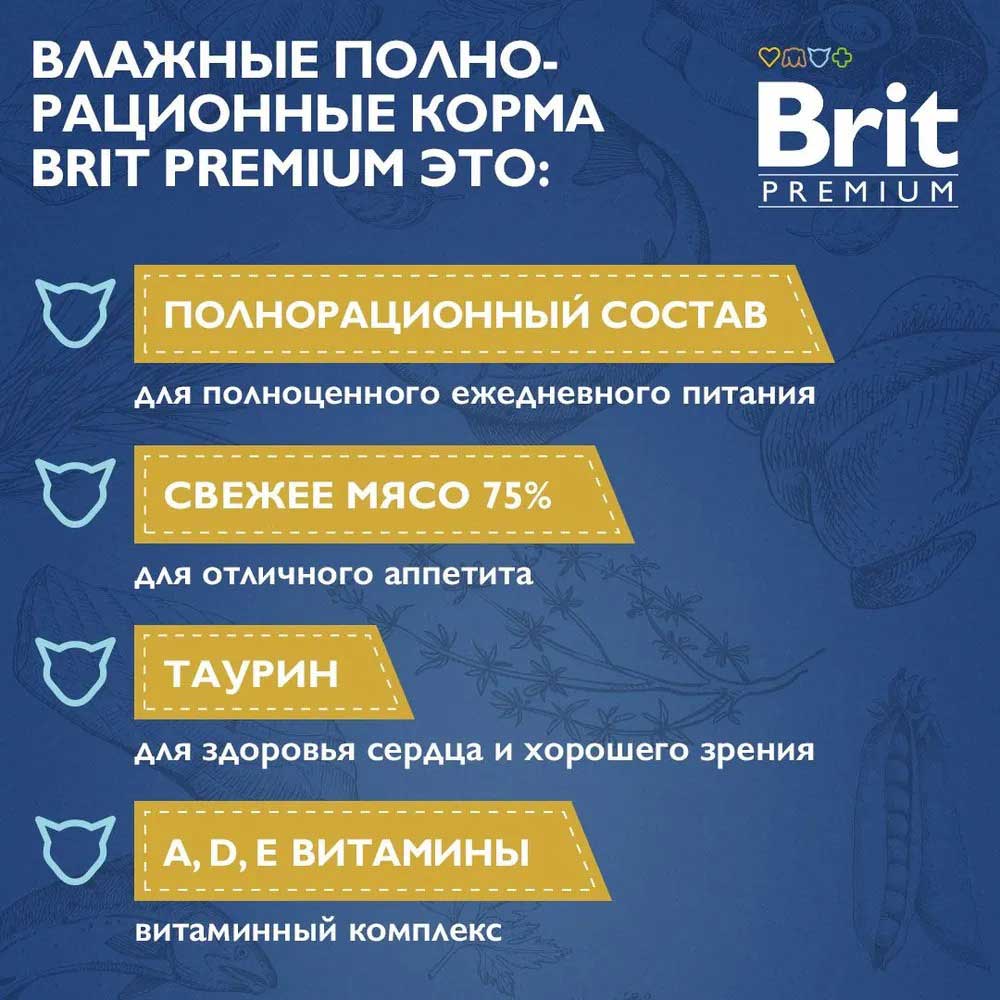 Влажный Корм Brit (Брит) Premium Для Кошек Лосось и Форель в Соусе 85г (1*14) 5048854