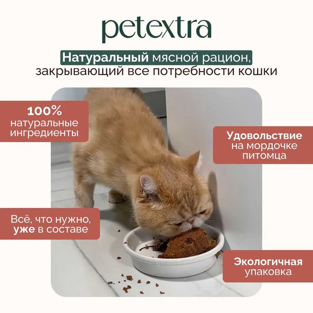 Влажный Корм Petextra (Петэкстра) Для Котят Индейка Нежный Паштет 100г (1*16)