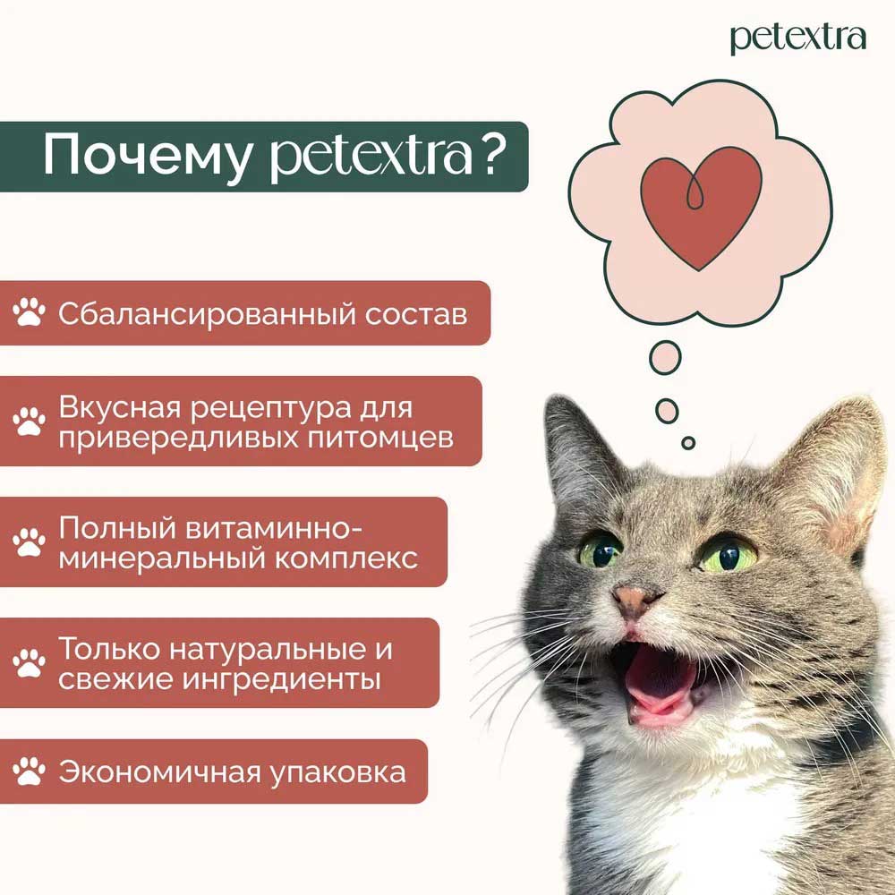 Влажный Корм Petextra (Петэкстра) Для Котят Индейка Нежный Паштет 100г (1*16)