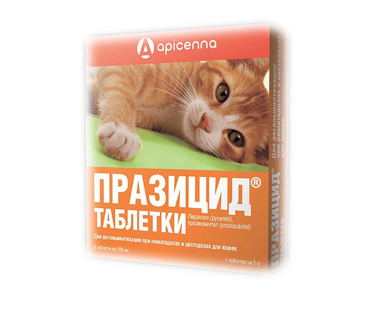 Празицид Таблетки Для Кошек Против Глистов 6таб Apicenna (Апиценна)