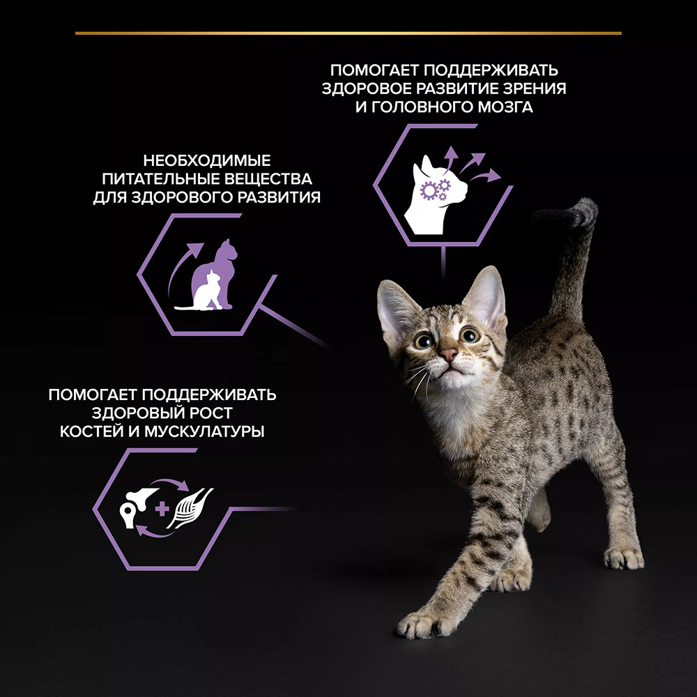 Влажный Корм Pro Plan (Проплан) Для Котят Лосось в Соусе 85г (1*26)