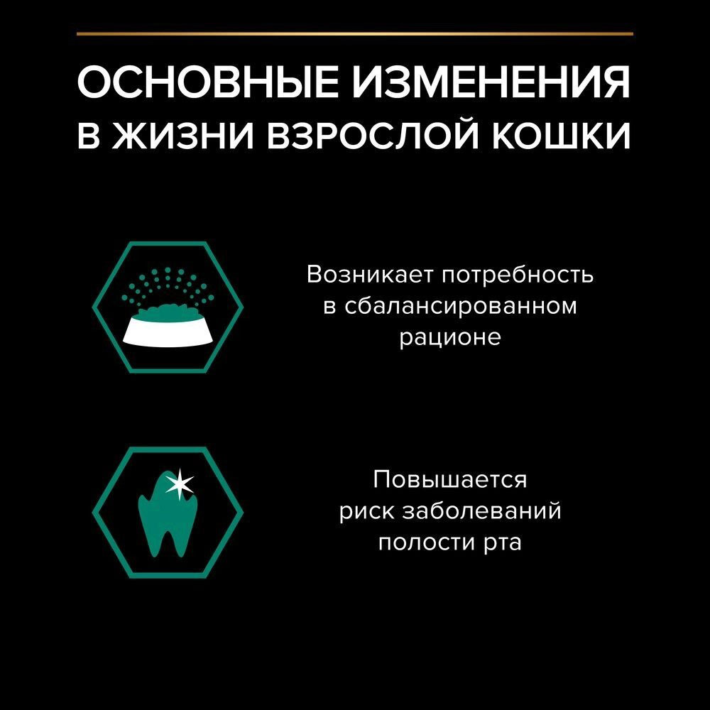 Влажный Корм Pro Plan (Проплан) Для Кошек Курица в Соусе 85г (1*26)