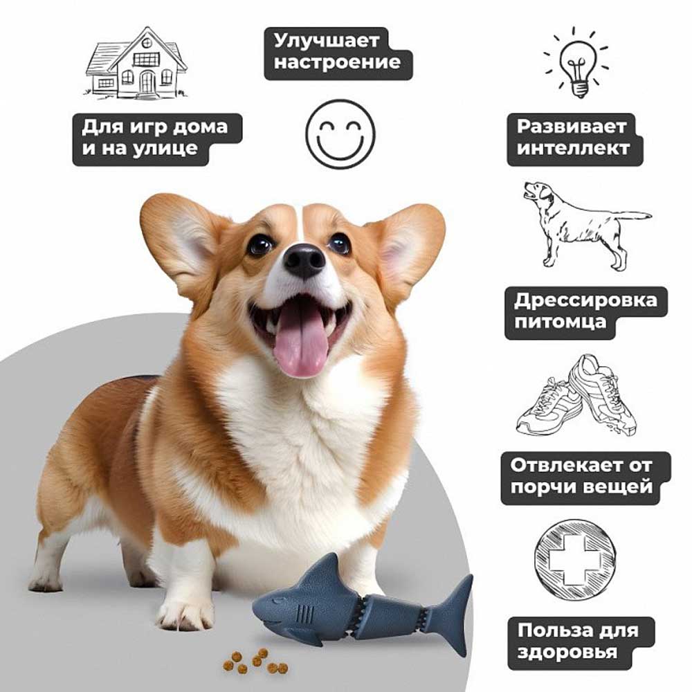 Игрушка Amestore (Амстор)  Для Собак Акула-Хранительница Сокровищ  18*7,6*7,5см 2051100