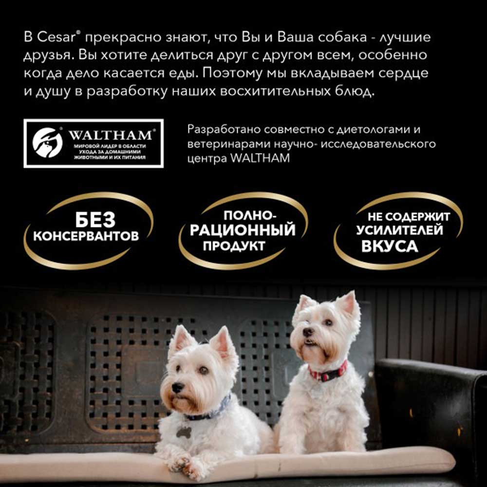 Влажный Корм Cesar (Цезарь) Для Собак Ягненок Паштет 80г