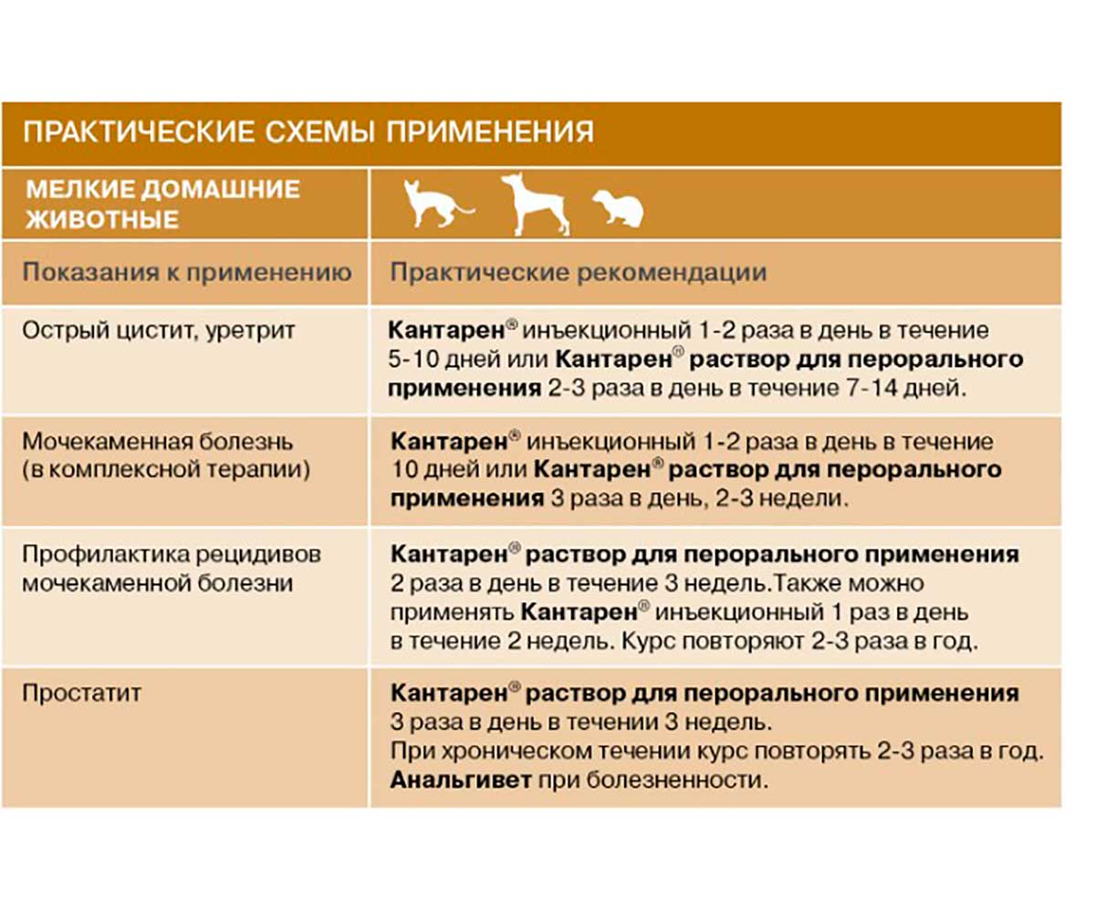 Кантарен 10мл Гомеопатический Препарат Для Лечения Почек Раствор Для Инъекций Хелвет