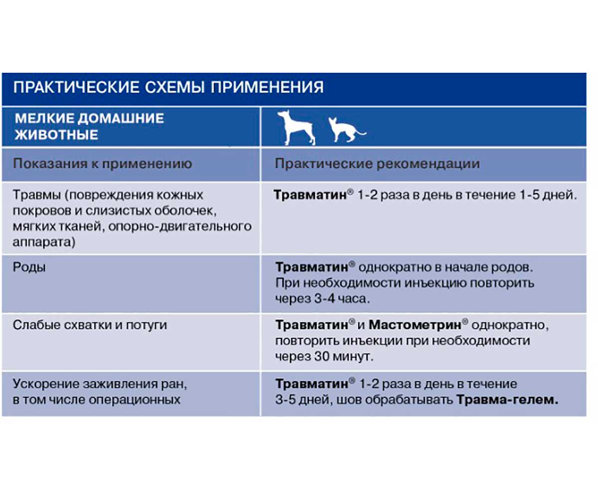 Травматин Гомеопатический Препарат Для Лечения Травм и Воспалительных Заболеваний 10 мл Раствор Для Инъекций Хелвет