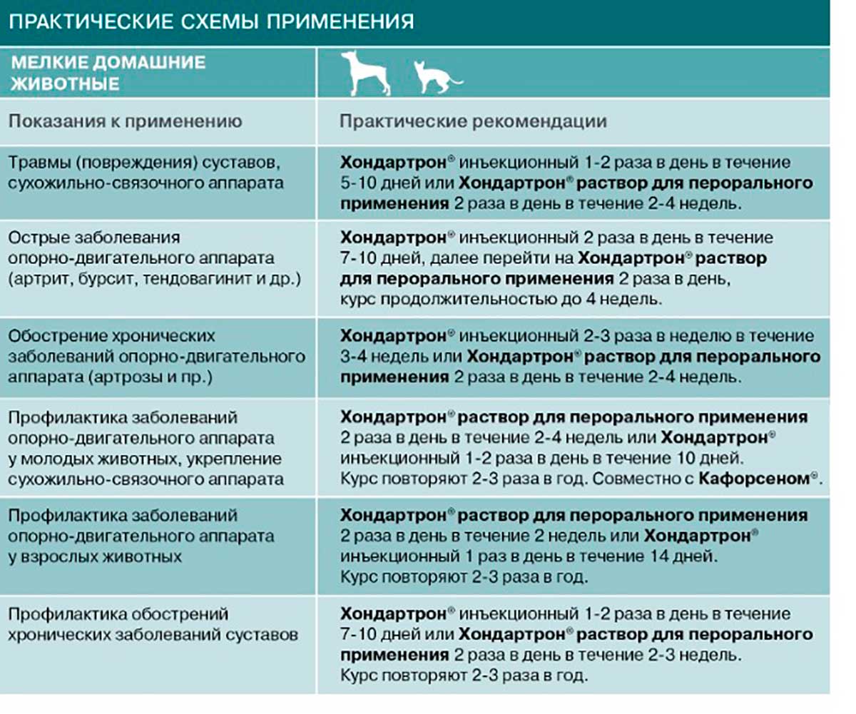 Хондартрон 10мл Гомеопатический Препарат Для Лечения Заболеваний Опорно-Двигательного Аппарата Раствор Для Инъекций