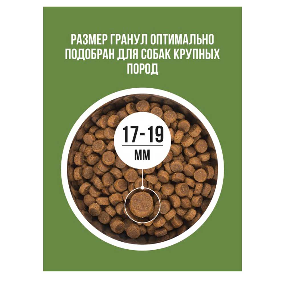 Сухой Корм Bowl Wow (Боул Вау) Для Собак Крупных Пород Fresh Meat Ягненок, Индейка, Рис и Цукини 2кг