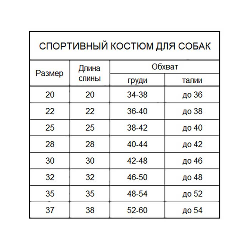 Костюм Спортивный Osso Fashion (Оссо Фешн) Чемпион Р.30 Скч-1005