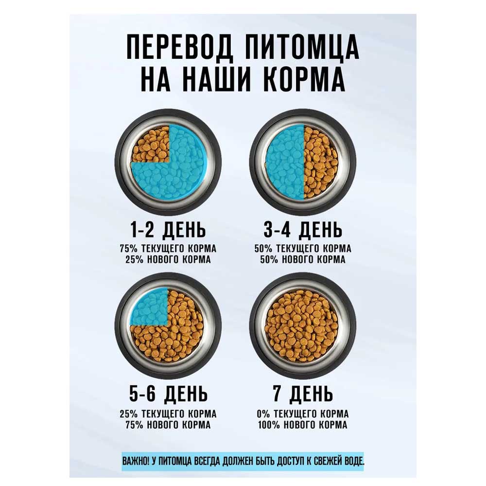 Сухой Корм Оскар Для Котят 2кг