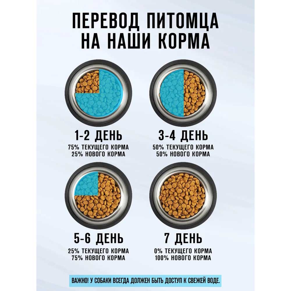 Консервы Оскар Для Собак Телятина 125г