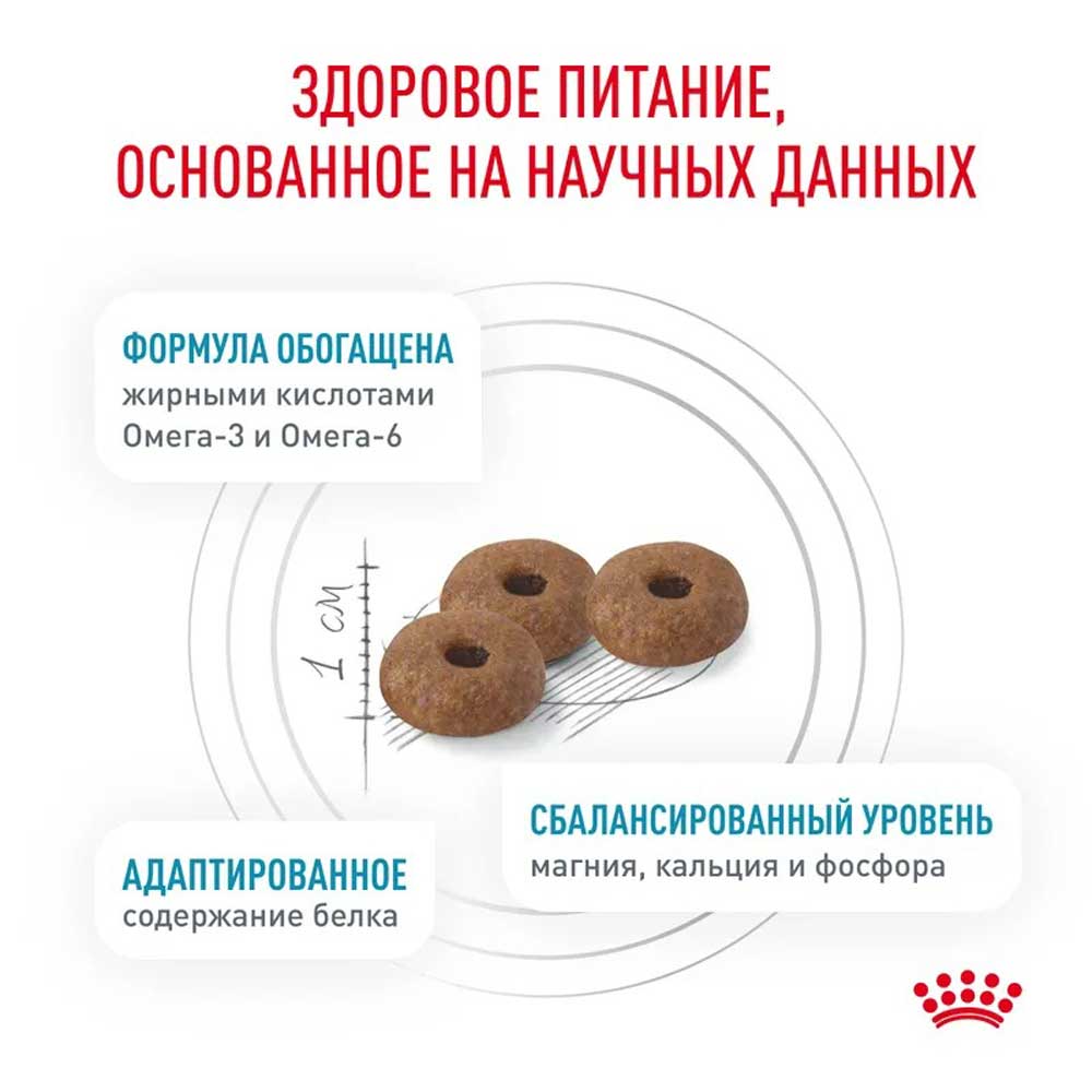 Сухой Корм Для Стерилизованных Кошек Диетический Royal Canin Skin & Coat Для Чувствительной Кожи 350г