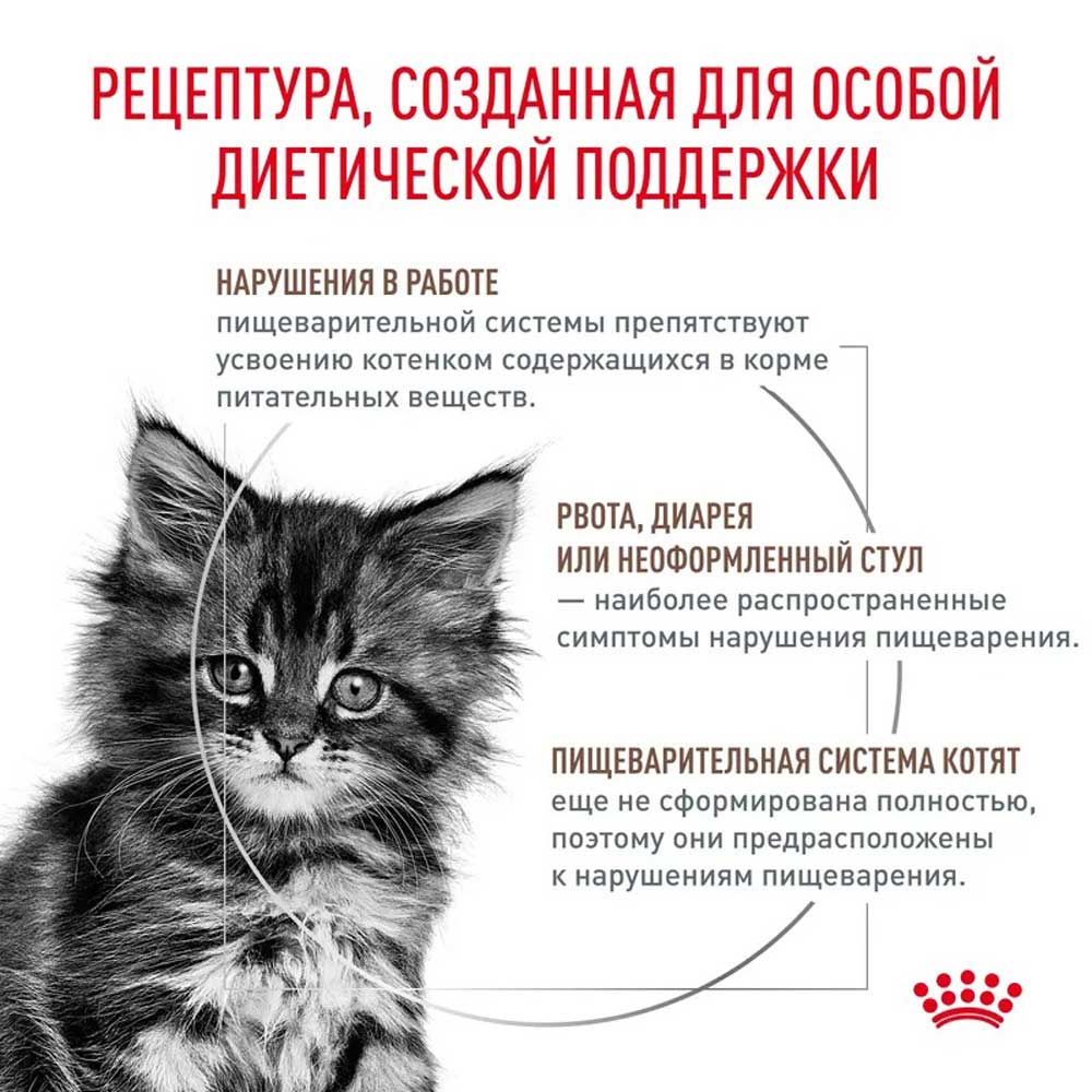 Сухой Корм Для Котят Диетический Royal Canin (Роял Канин) Gastrointestinal Kitten Для Лечения Болезни ЖКТ 350г