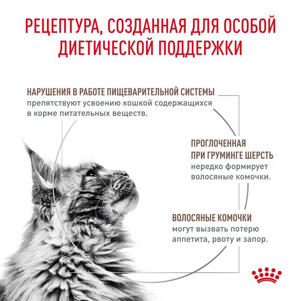 Сухой Корм Для Кошек Диетический Royal Canin (Роял Канин) Gastrointestinal Hairball Для Лечения Болезни ЖКТ Вывод Шерсти 350г