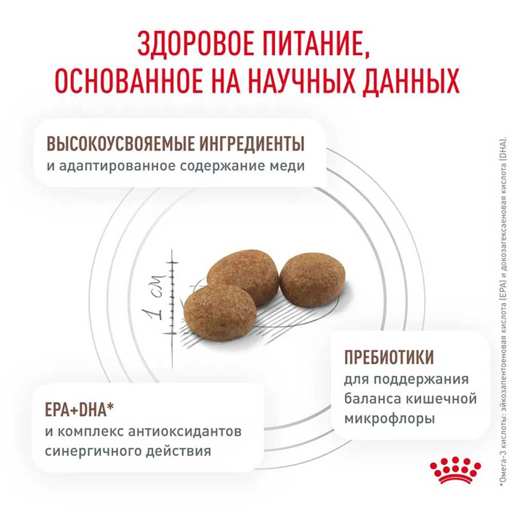Сухой Корм Для Кошек Диетический Royal Canin Роял Канин) Hepatic Для Лечения Болезней Печени 350г