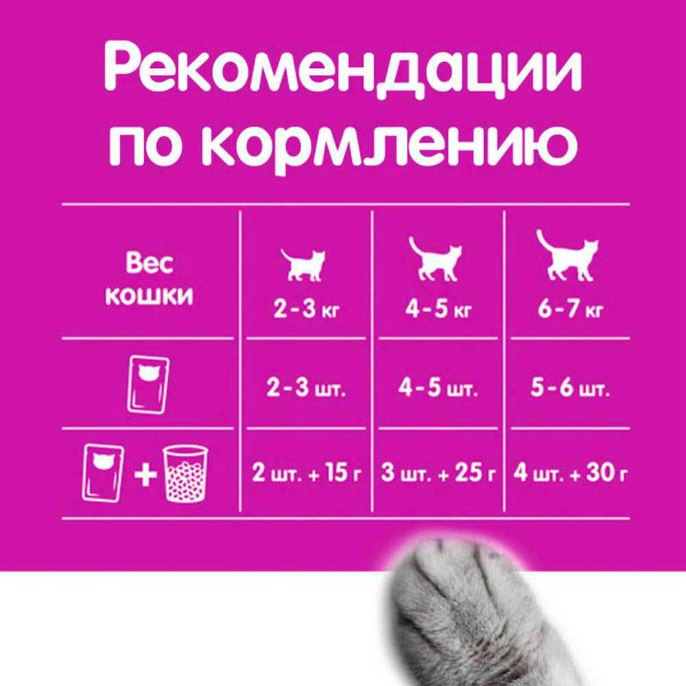 Влажный Корм Для Кошек Whiskas (Вискас) Рагу Говядина, Язык и Овощи 75г