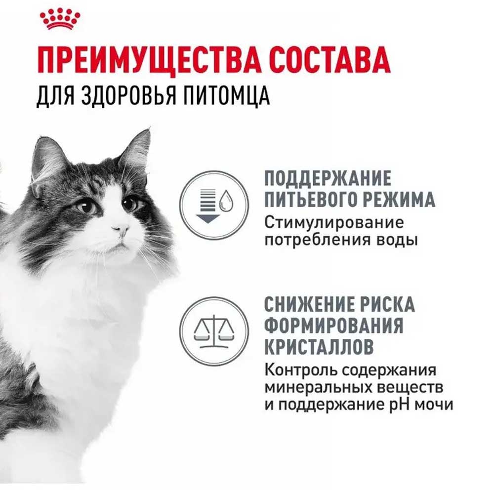 Влажный Корм Для Кошек Royal Canin (Роял Канин) Urinary Care Для Поддержки Мочевыводящей Системы в Соусе 85г