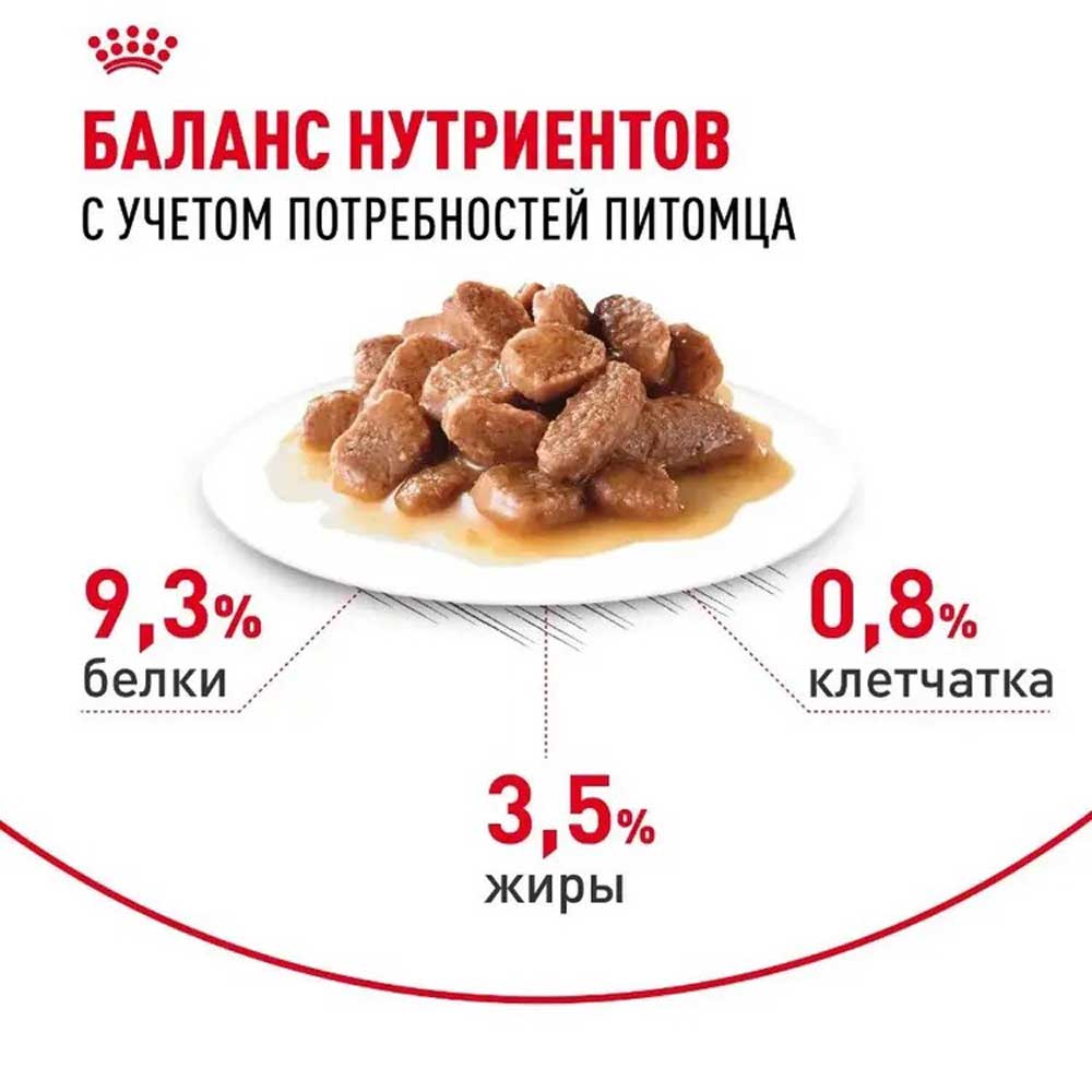 Влажный Корм Для Кошек Royal Canin (Роял Канин) Urinary Care Для Поддержки Мочевыводящей Системы в Соусе 85г