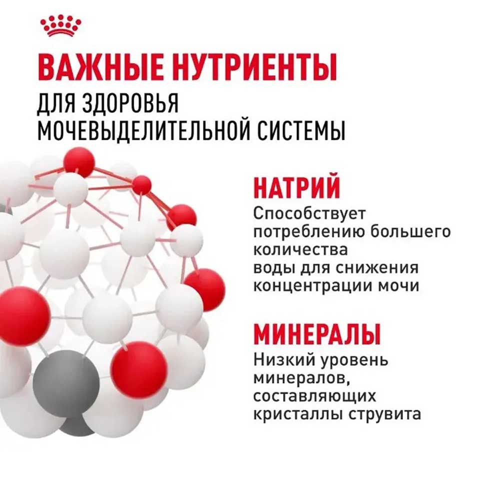 Влажный Корм Для Кошек Royal Canin (Роял Канин) Urinary Care Для Поддержки Мочевыводящей Системы в Соусе 85г