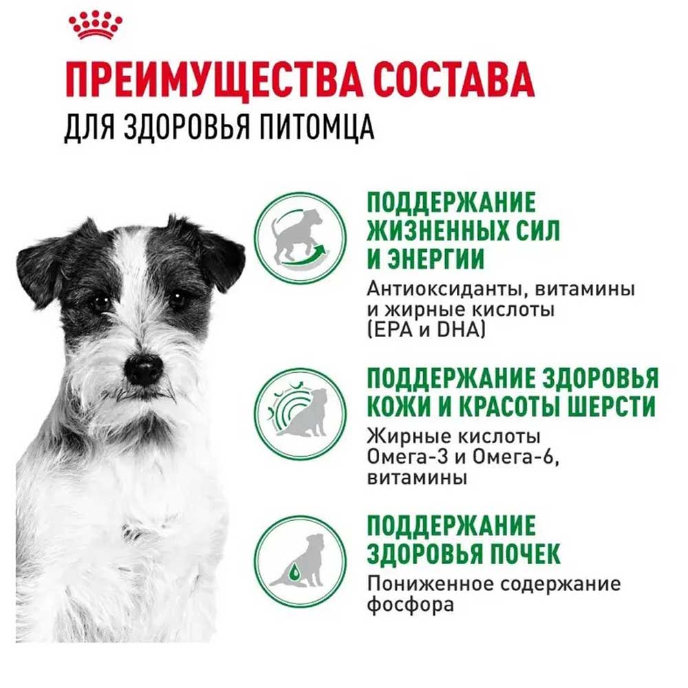 Влажный Корм Для Собак Мелких Пород Royal Canin (Роял Каниин) Mini Ageing +12 Старше 12 Лет в Соусе 85г