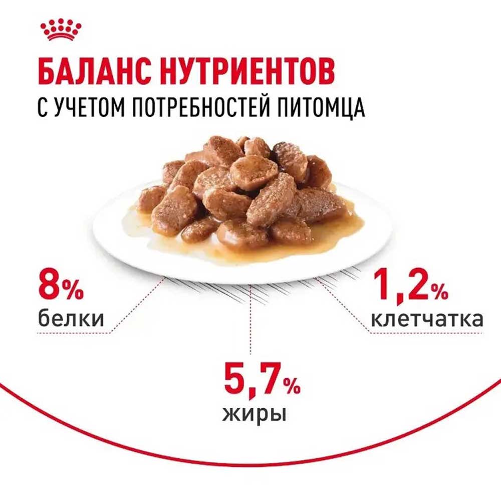 Влажный Корм Для Собак Мелких Пород Royal Canin (Роял Каниин) Mini Ageing +12 Старше 12 Лет в Соусе 85г