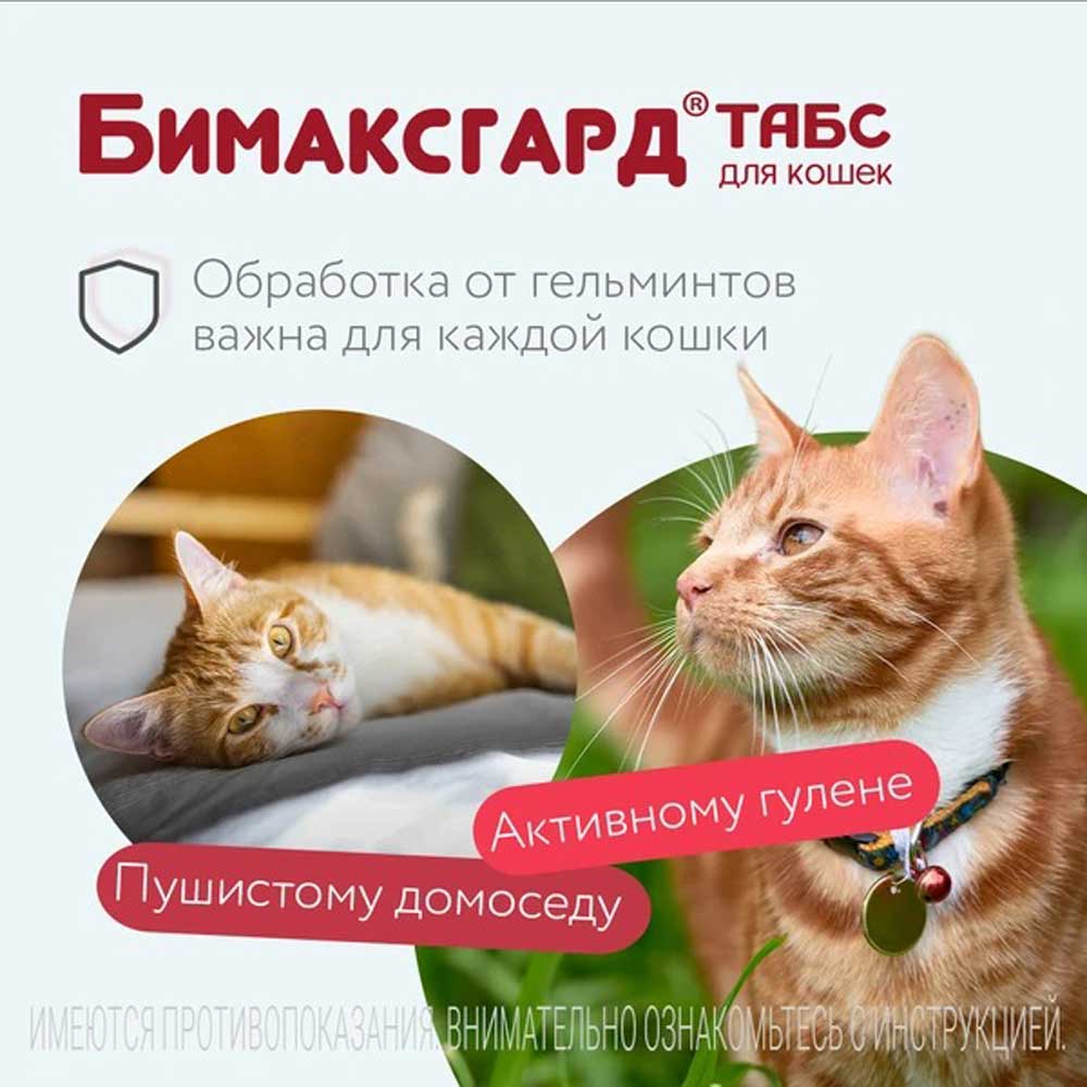 Бимаксгард Антигельминтный Препарат Для Крупных Кошек 2 Таблетки